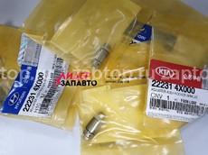 22231-4X000 Гидрокомпенсатор Hyundai Terracan